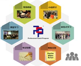 想成為企業(yè)青睞的教練？這門網(wǎng)絡(luò)技術(shù)認(rèn)證課不容錯過
