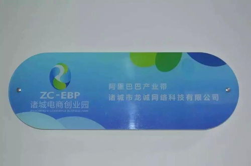 諸城市龍誠網(wǎng)絡(luò)科技 賦能地方企業(yè)，驅(qū)動(dòng)數(shù)字化轉(zhuǎn)型